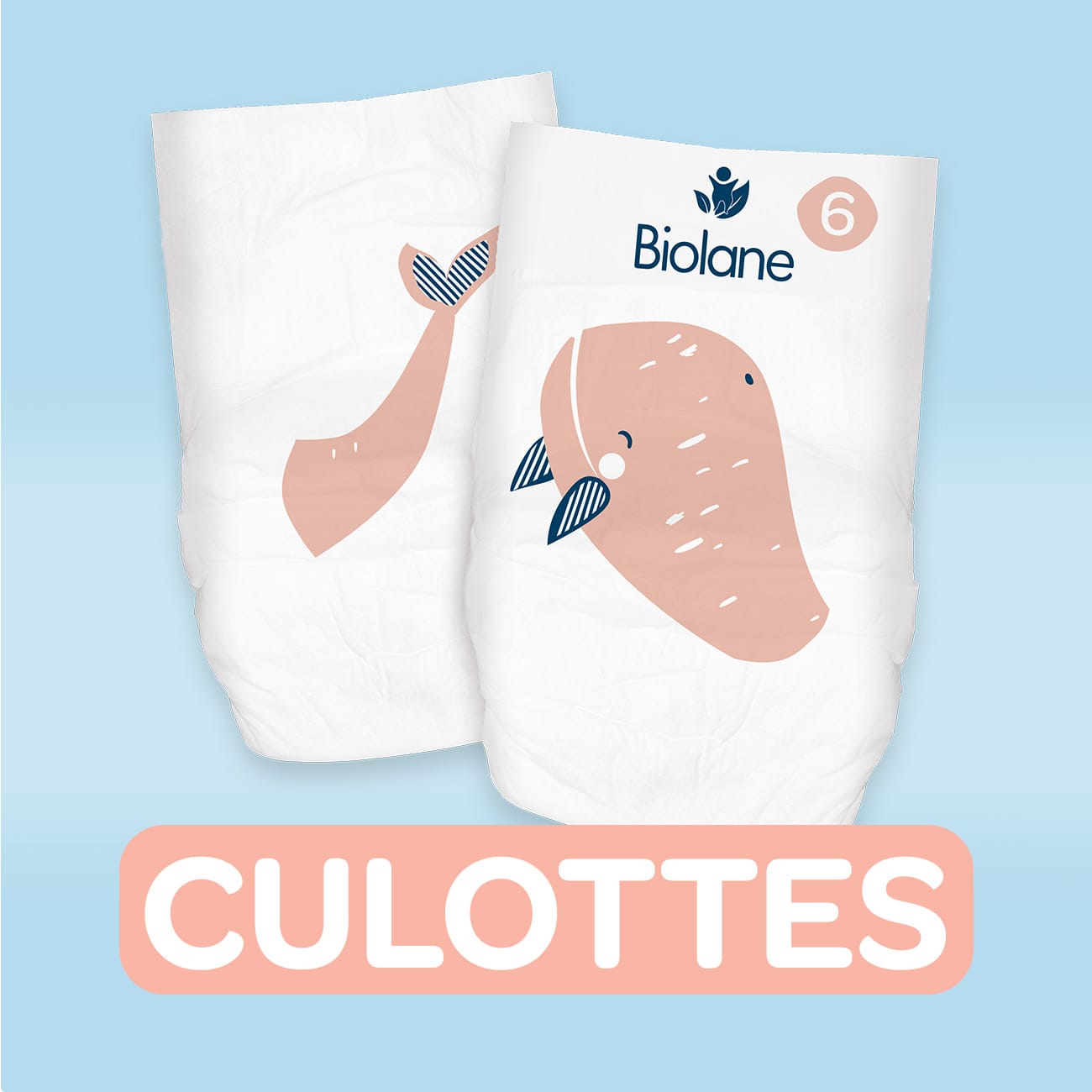 Taille 6