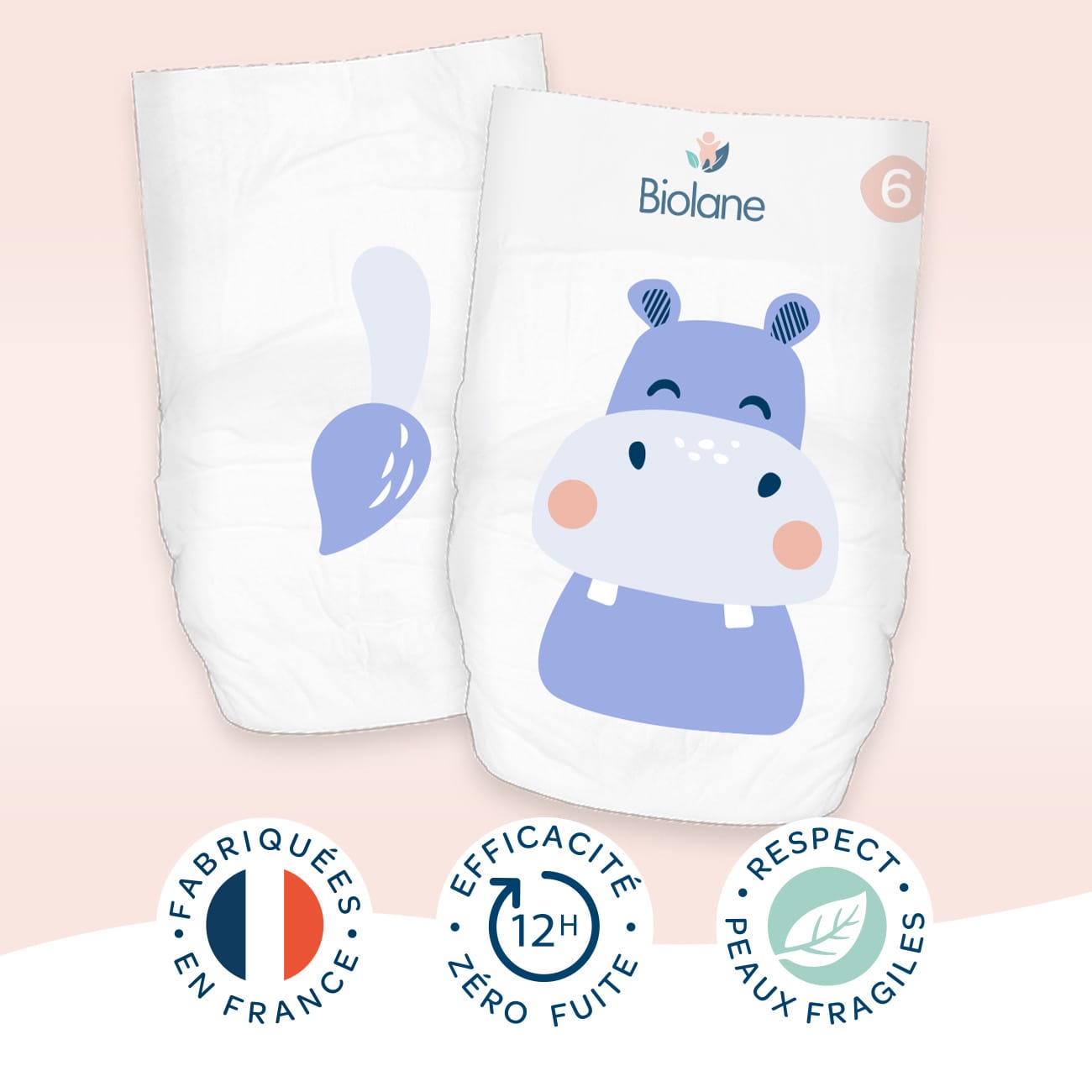 Taille 6