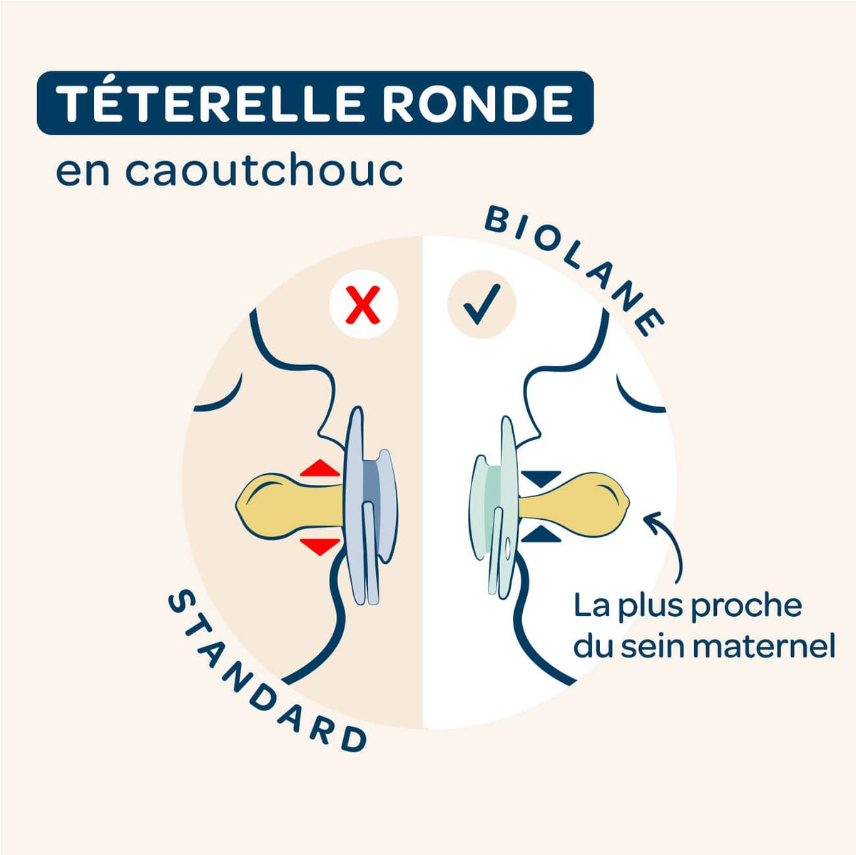 [OLD] Lot de 2 sucettes rondes +6 mois
