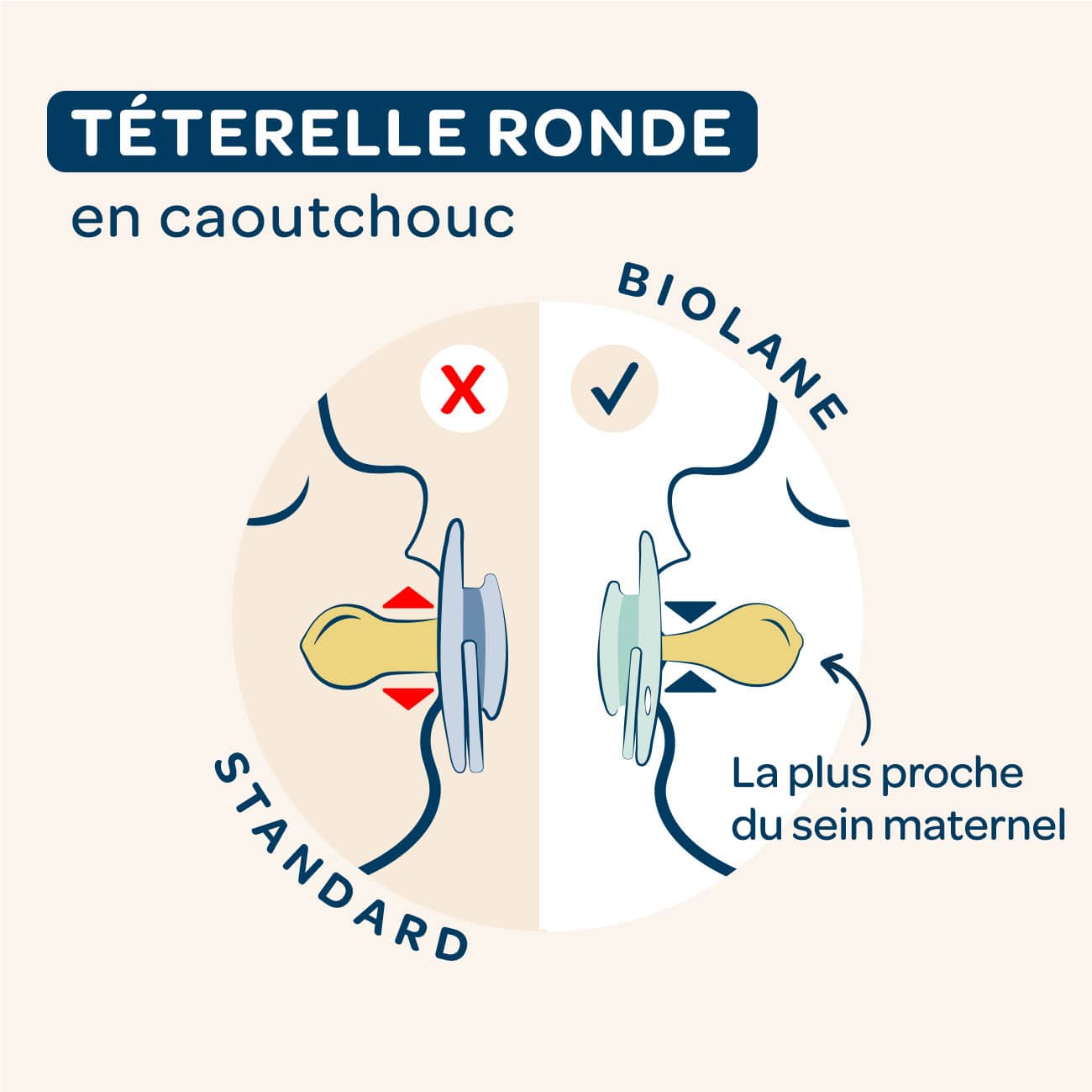[OLD] Lot de 2 sucettes rondes +6 mois